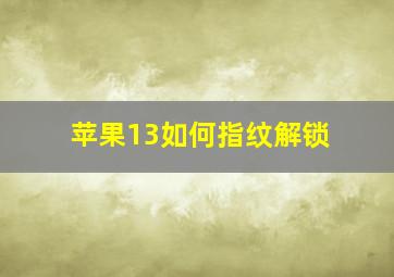 苹果13如何指纹解锁