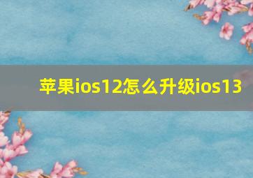 苹果ios12怎么升级ios13