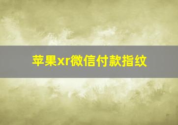 苹果xr微信付款指纹