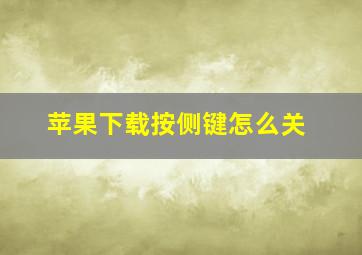 苹果下载按侧键怎么关