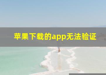 苹果下载的app无法验证