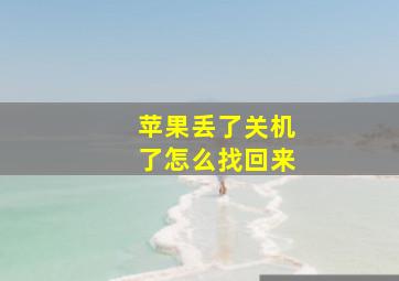 苹果丢了关机了怎么找回来