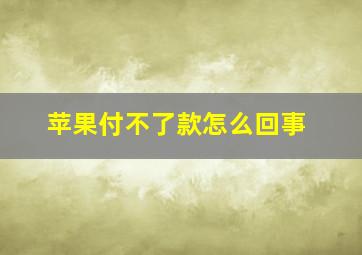 苹果付不了款怎么回事