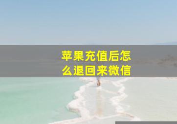 苹果充值后怎么退回来微信