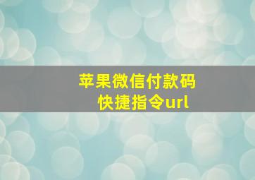 苹果微信付款码快捷指令url