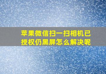 苹果微信扫一扫相机已授权仍黑屏怎么解决呢