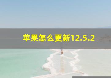 苹果怎么更新12.5.2