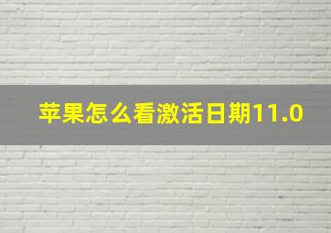 苹果怎么看激活日期11.0