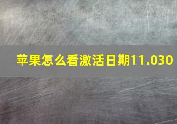 苹果怎么看激活日期11.030