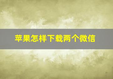 苹果怎样下载两个微信