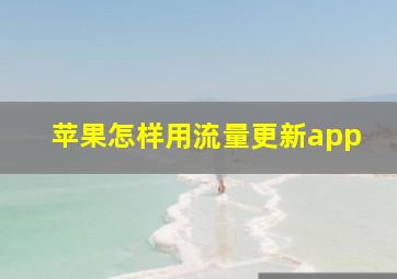 苹果怎样用流量更新app