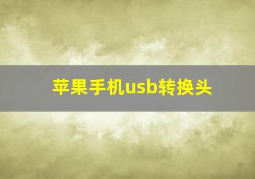 苹果手机usb转换头