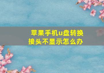 苹果手机u盘转换接头不显示怎么办