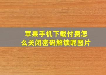 苹果手机下载付费怎么关闭密码解锁呢图片