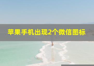 苹果手机出现2个微信图标