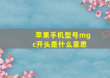 苹果手机型号mgc开头是什么意思