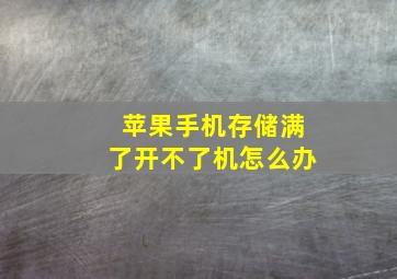 苹果手机存储满了开不了机怎么办