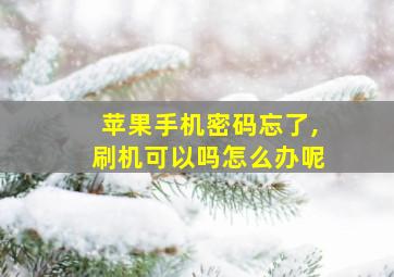 苹果手机密码忘了,刷机可以吗怎么办呢