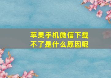 苹果手机微信下载不了是什么原因呢