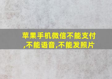 苹果手机微信不能支付,不能语音,不能发照片