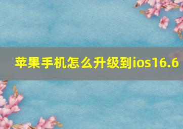 苹果手机怎么升级到ios16.6