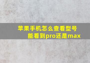 苹果手机怎么查看型号能看到pro还是max