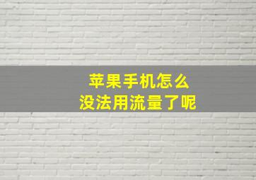 苹果手机怎么没法用流量了呢