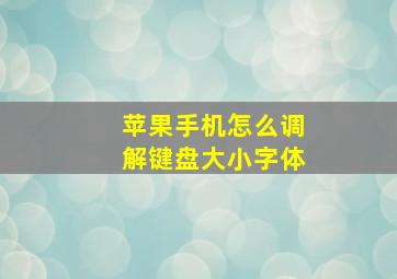 苹果手机怎么调解键盘大小字体