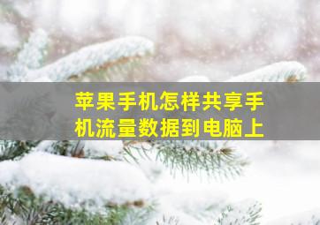 苹果手机怎样共享手机流量数据到电脑上