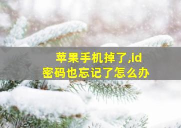 苹果手机掉了,id密码也忘记了怎么办