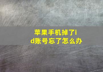 苹果手机掉了id账号忘了怎么办