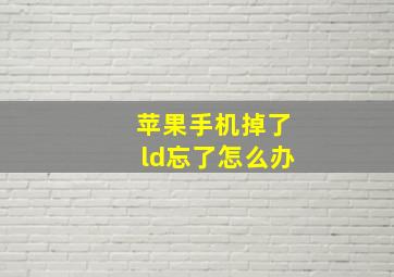 苹果手机掉了ld忘了怎么办