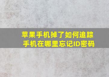 苹果手机掉了如何追踪手机在哪里忘记ID密码