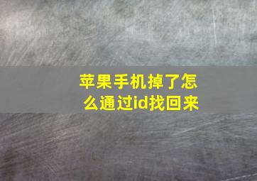 苹果手机掉了怎么通过id找回来