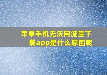 苹果手机无法用流量下载app是什么原因呢