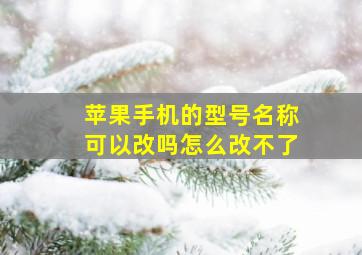 苹果手机的型号名称可以改吗怎么改不了