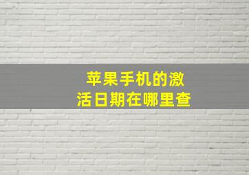 苹果手机的激活日期在哪里查