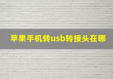 苹果手机转usb转接头在哪