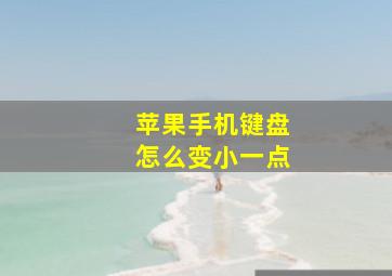 苹果手机键盘怎么变小一点