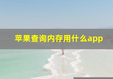 苹果查询内存用什么app