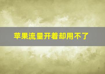 苹果流量开着却用不了