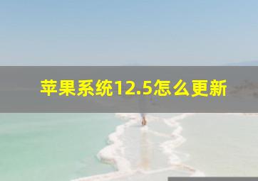 苹果系统12.5怎么更新