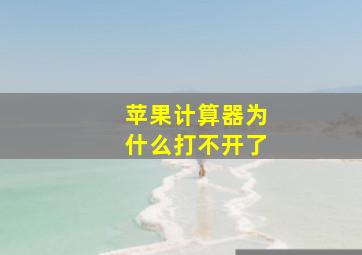 苹果计算器为什么打不开了