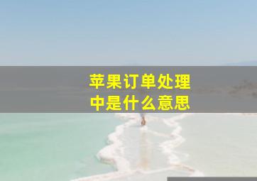 苹果订单处理中是什么意思