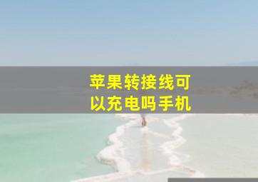 苹果转接线可以充电吗手机