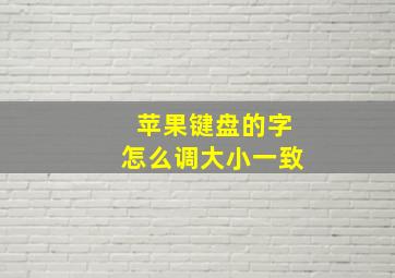 苹果键盘的字怎么调大小一致