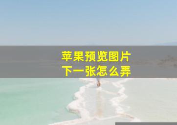 苹果预览图片下一张怎么弄