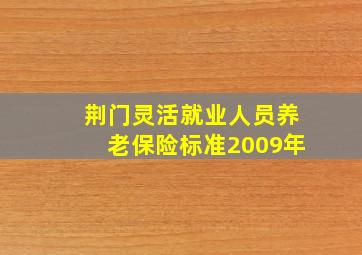 荆门灵活就业人员养老保险标准2009年