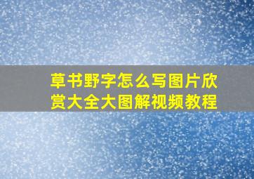 草书野字怎么写图片欣赏大全大图解视频教程