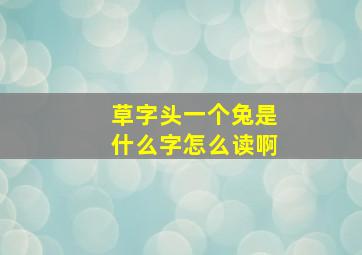 草字头一个兔是什么字怎么读啊